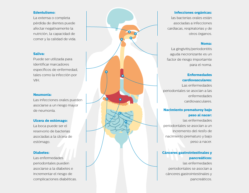 nuestra salud empieza por la boca